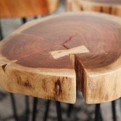 Set de 2 tables basse tronc d’arbre