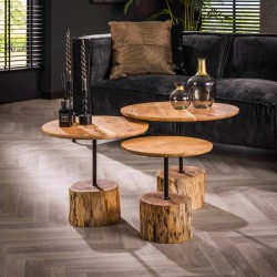 Lot Tables Basses Nature Troncs d'Arbres