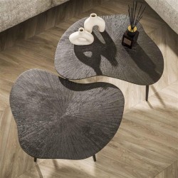 Table Basse Métal Organique Vue Dessus