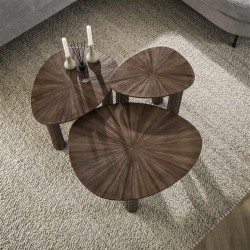 Table basse Bois Triangle Vue Dessus